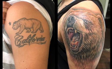Sorin Gabor - Realistic color California bear coverup tattoo